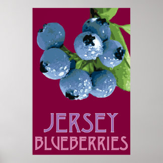 Jersey_Bluebär Poster