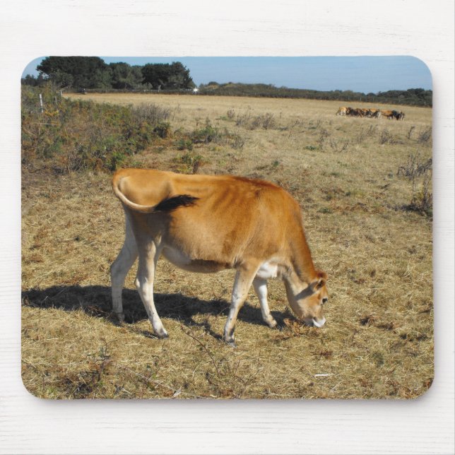 Jersey calf musmatta (Framsidan)
