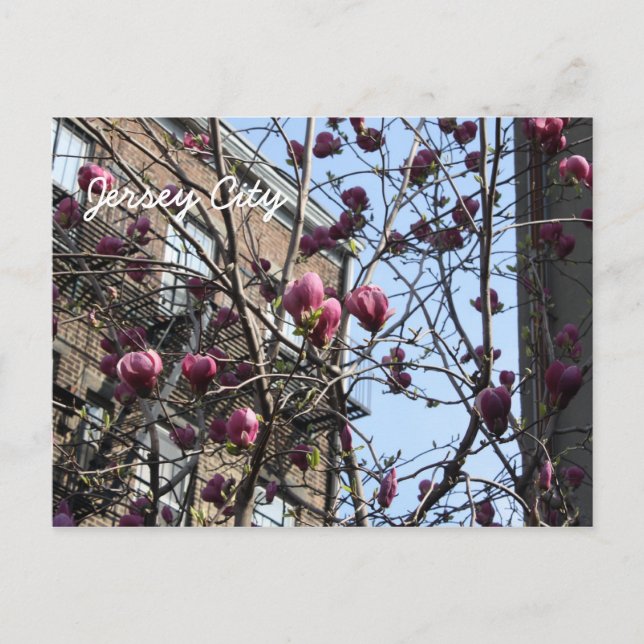 Jersey City Blommor Vykort (Framsida)