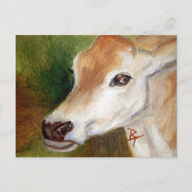 Jersey Cow aceo Postcard Vykort (Framsida)