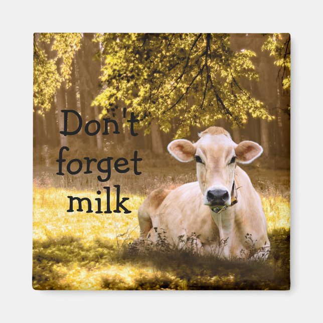 Jersey Cow Magnet (Framsidan)