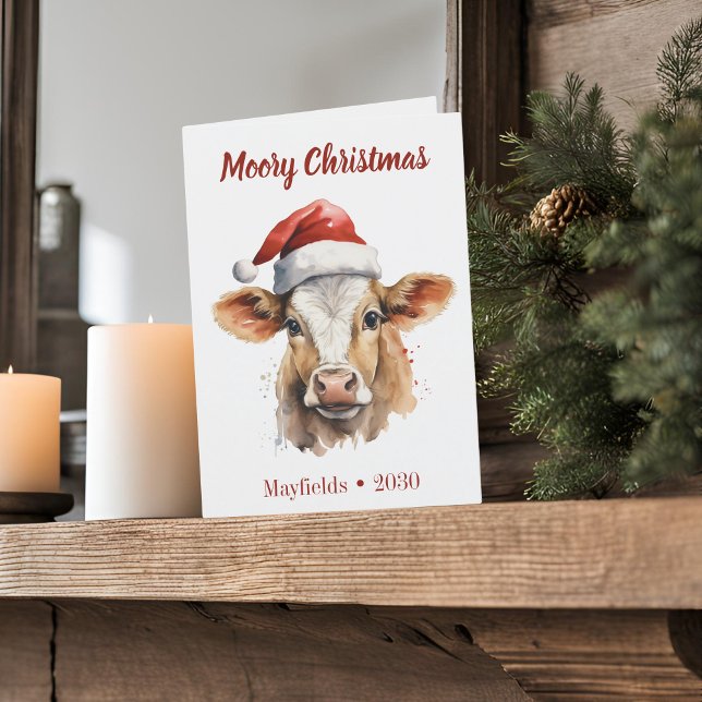 Jersey Cow "Moory Jul", mappat Helgdag-kort Helgkort (Moory Christmas jersey cow folded holiday card with white background)