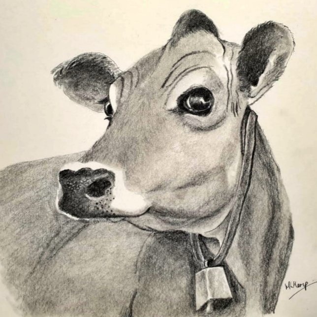 Jersey Cow sketch Poster (Skapare uppladdad)