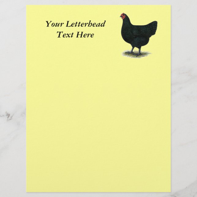 Jersey Giant: Black Hen (Framsida)