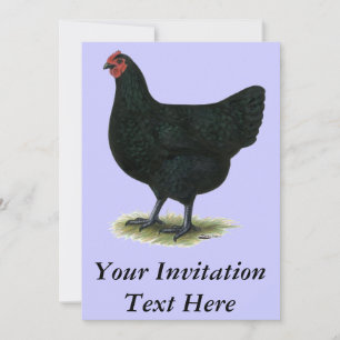 Jersey Giant: Black Hen Inbjudningar