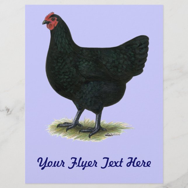 Jersey Giant: Black Hen Reklamblad (Framsidan)