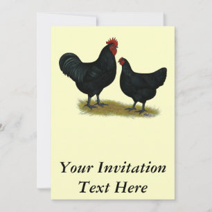 Jersey Giant Chickens Inbjudningar
