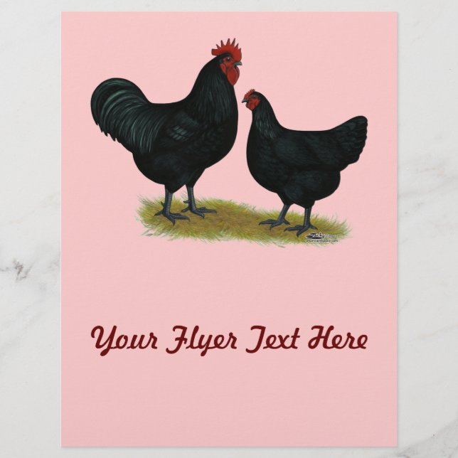 Jersey Giant Chickens Reklamblad (Framsidan)