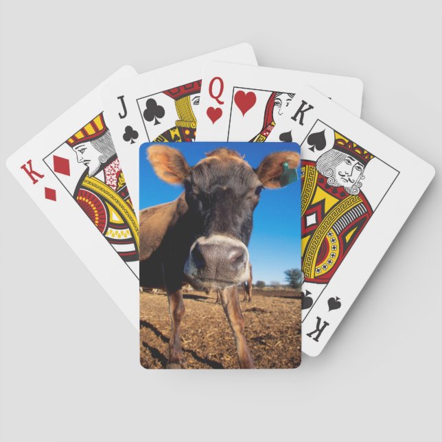 Jersey ko som en är frågvis casinokort (Baksidan)