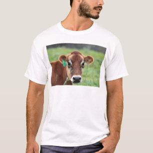 Jersey ko tee