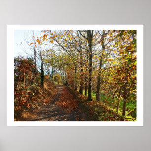 Jersey Lane på hösten Poster