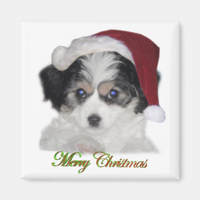 Jersey Santa Magnet (Framsidan)