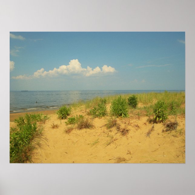 Jersey Shore 2 Poster (Framsidan)