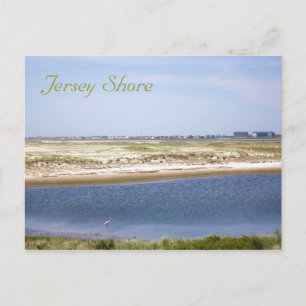 Jersey Shore Point vykort