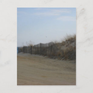 Jersey Shore * Softened Beach Vykort