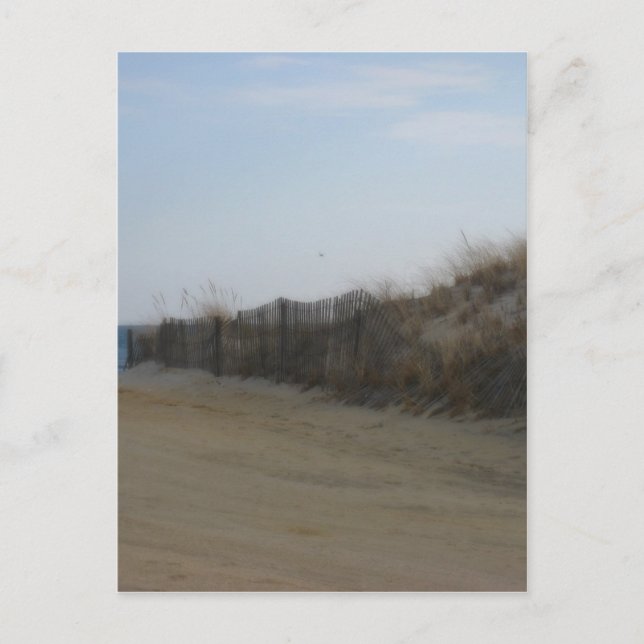 Jersey Shore * Softened Beach Vykort (Framsida)