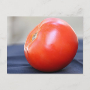 Jersey Tomato 1 Vykort