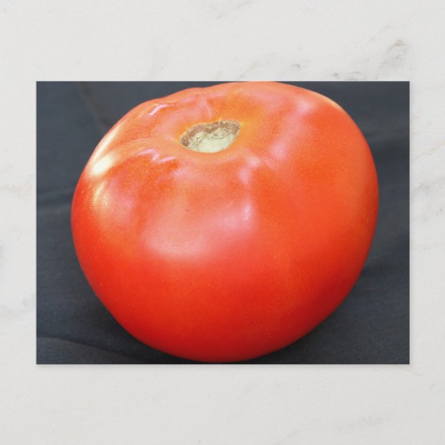 Jersey Tomato 4 Vykort (Framsida)