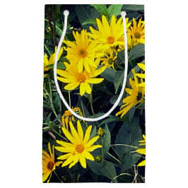 Jerusalem Artichoke Blommor