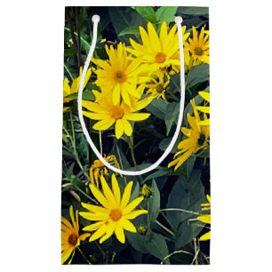 Jerusalem Artichoke Blommor
