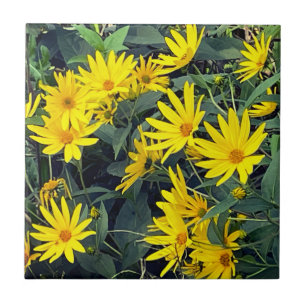 Jerusalem Artichoke Blommor Kakelplatta