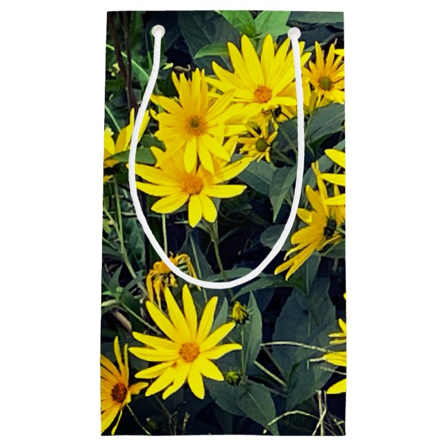 Jerusalem Artichoke Flowers (Framsidan)