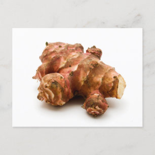 Jerusalem artichoke vykort