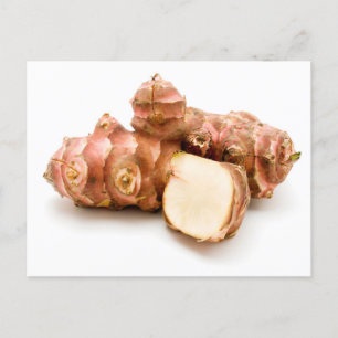 Jerusalem artichoke vykort