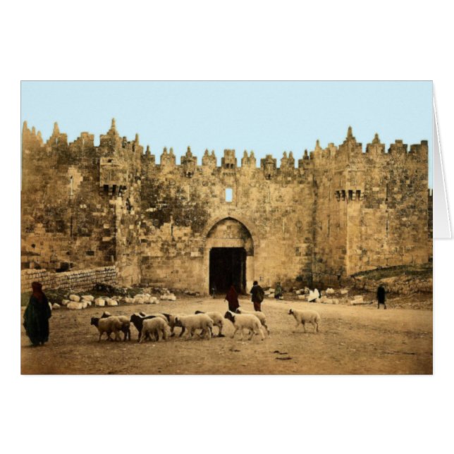 Jerusalem - Damaskus Grind Hälsningskort (Framsidan Horizontal)