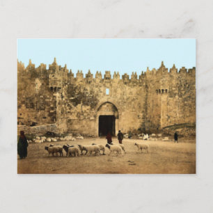 Jerusalem - Damaskus Grind Vykort