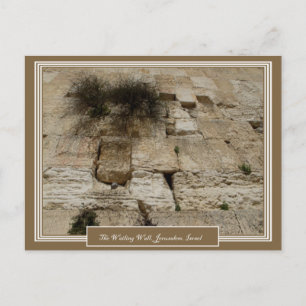 Jerusalem Israel Postcard Vykort