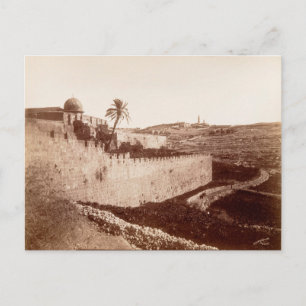 Jerusalems gamla murar och Olivberget Vykort
