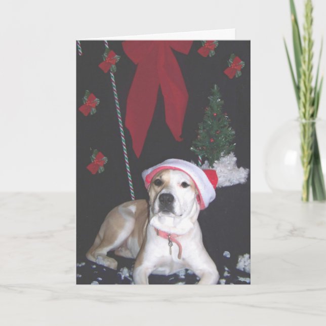 jerzy's-understödja-jul helgkort (Framsida)