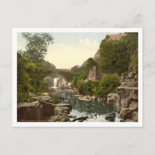 Jesmond Dene II, Newcastle-upon-Tyne, England Vykort