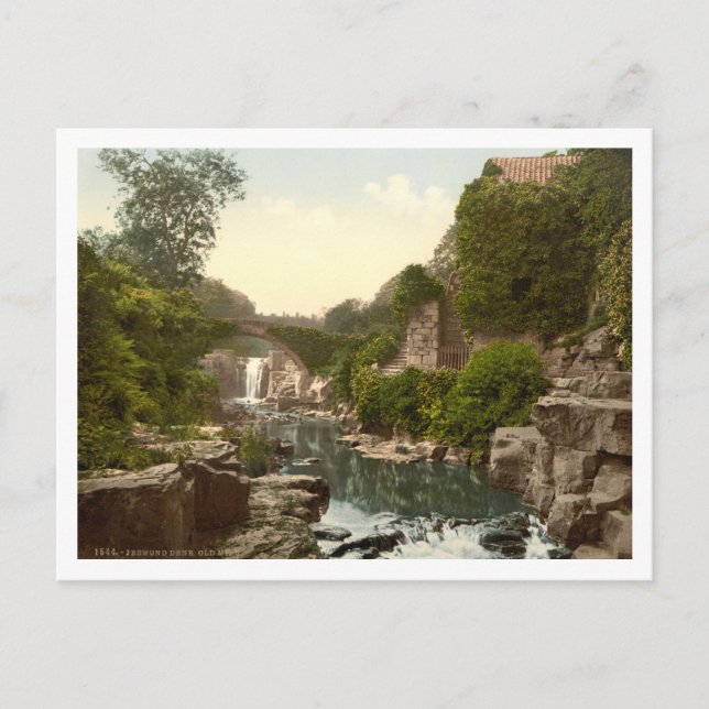 Jesmond Dene II, Newcastle-upon-Tyne, England Vykort (Framsida)