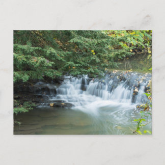 Jesmond Dene Vykort
