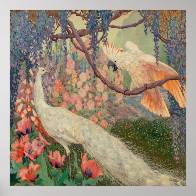 Jessie Arm botke - Exotic Ligcape Poster (Framsidan)