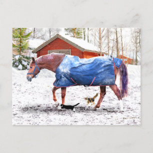 "Jessies New Blanket" Vykort