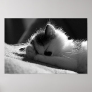 Jessy Jane - liten poster