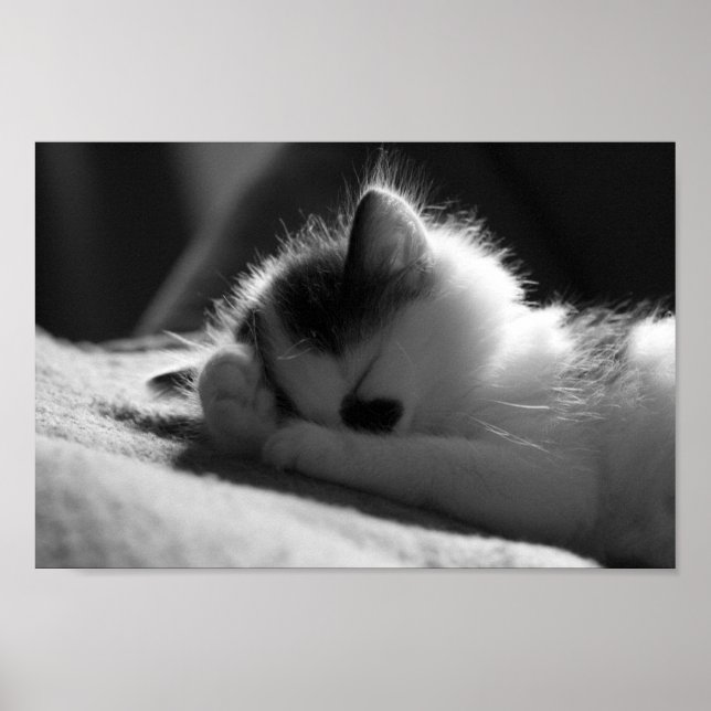 Jessy Jane - liten poster (Framsidan)