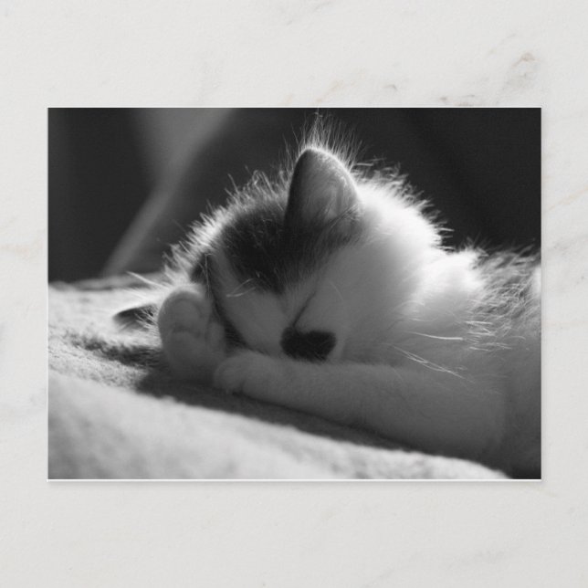 jessy jane - vykort (Framsida)