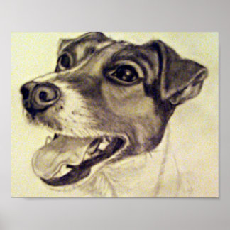 Jester Jack Russell Terrier Poster