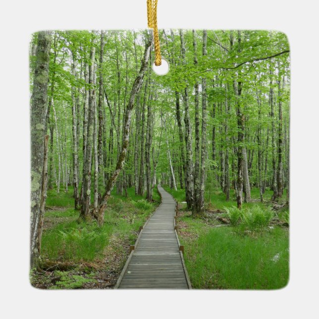 Jesup Path Boardwalk Trail Julgransprydnad Keramik (Framsida)