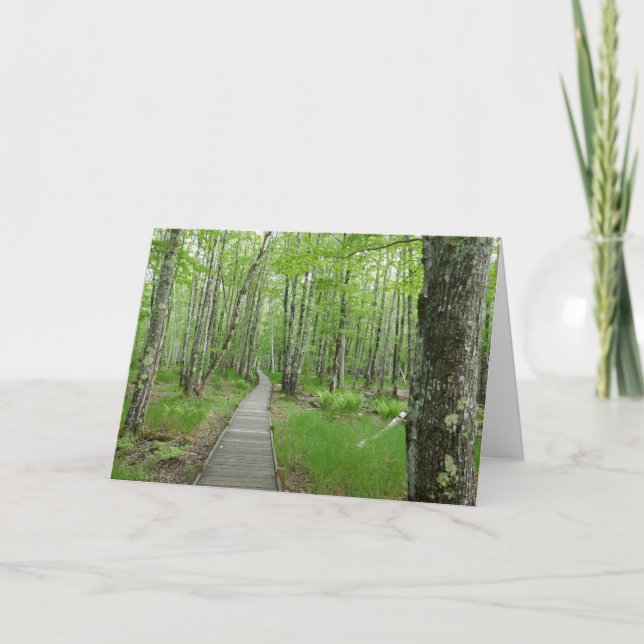 Jesup Path Boardwalk Trail Kort (Framsida)