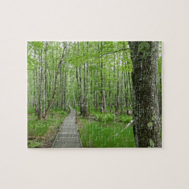 Jesup Path Boardwalk Trail Pussel (Horisontell)