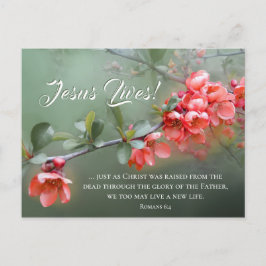 Jesus bor Vår blommor Bible Verse Påsk Vykort