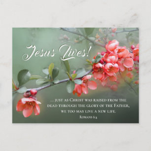 Jesus bor Vår blommor Bible Verse Påsk Vykort