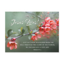 Jesus bor Vår blommor Bible Verse Påsk