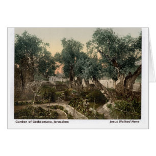 Jesus gick hit: Garden of Gethsemane Hälsningskort