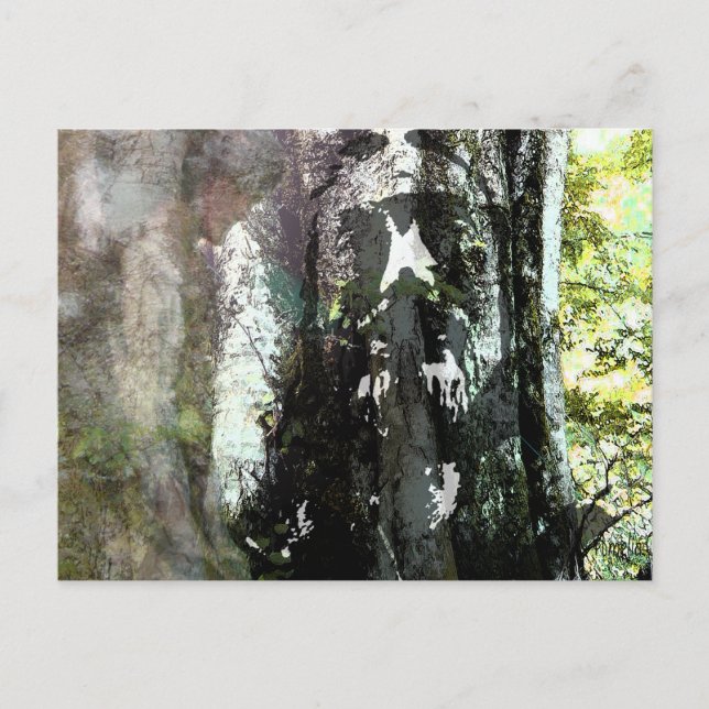 Jesus och Träd Vykort (Framsida)